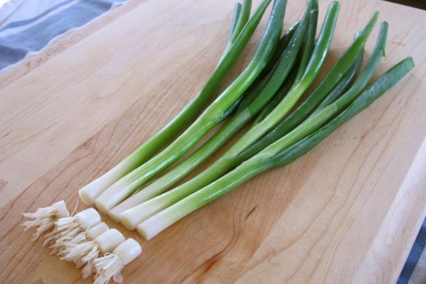 Kraken istand onion