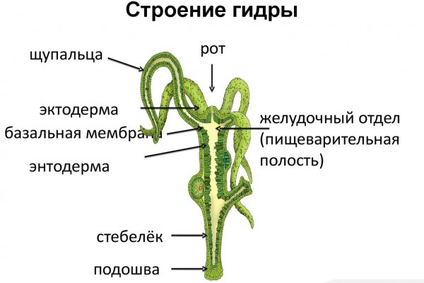 Кракен войти