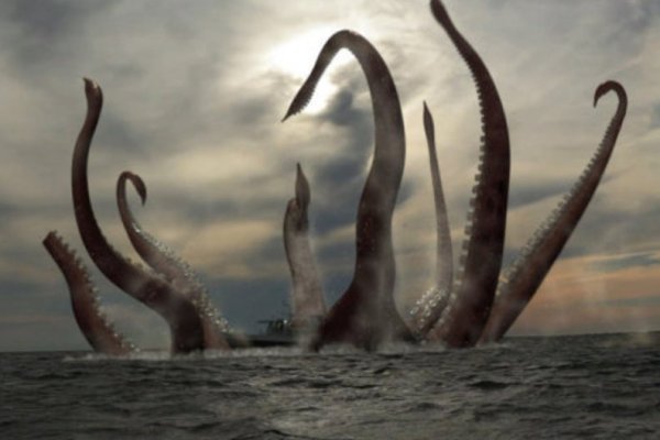 Kraken 23at