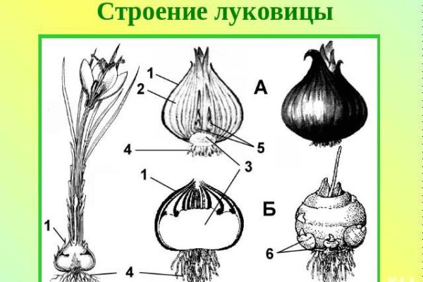 Рабочее зеркало кракен store