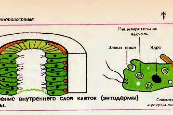 Кракен актуальные