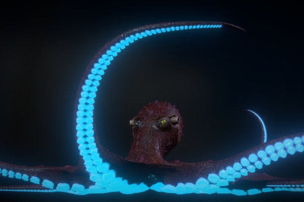 Kraken 18