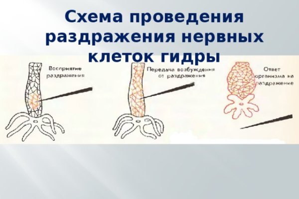 Кракен сайт сегодня