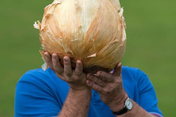Ссылки для tor